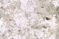 Plagiogranite LPA x3,5